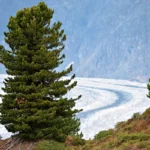 Quando è meglio visitare la Valle d’Aosta? Il periodo con meno turisti e più natura