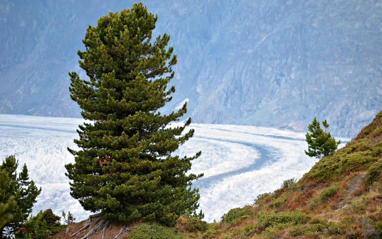 Quando è meglio visitare la Valle d’Aosta? Il periodo con meno turisti e più natura
